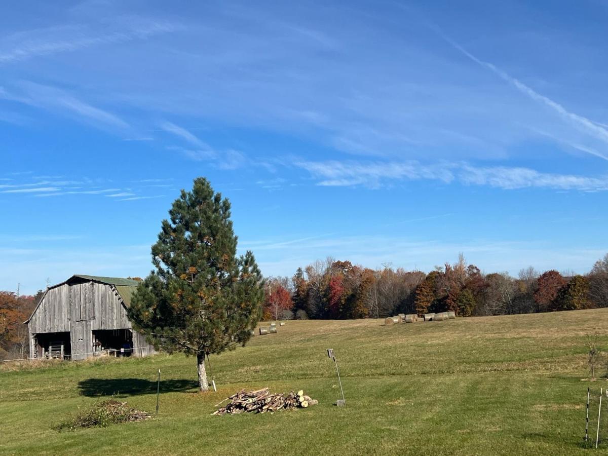 Smiths In-Law Suite! Pet Friendly, Hot Tub! Valley Head Exterior foto
